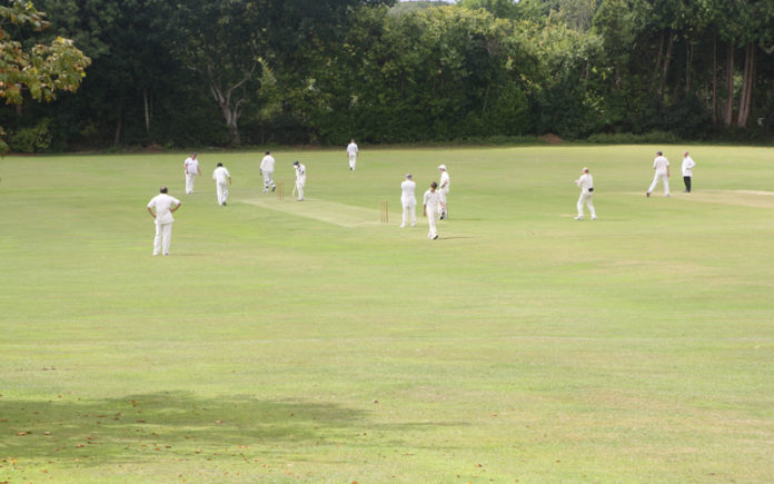 district cricket association